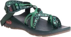 Chaco Women's Z/Cloud X2 Remix -Best Shoe Store chaco womens z cloud x 2 creed pine j106446 38410.1551194473