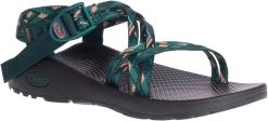 Chaco Women's Z/Cloud X -Best Shoe Store chaco womens z cloud x warren pine jch107986 41418.1647288280