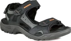 ECCO Men's Yucatan Sandal 8 ECCO Men's Yucatan Sandal -Best Shoe Store ecco mens yucatan sandal black mole 06956450034 66843.1624471220